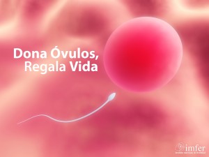 Vitrif en alta resolucion Dona óvulos, regala vida (2)